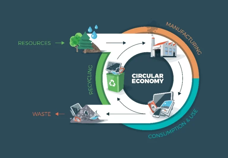 Circular Economy: Reducing Waste with Tech Solutions